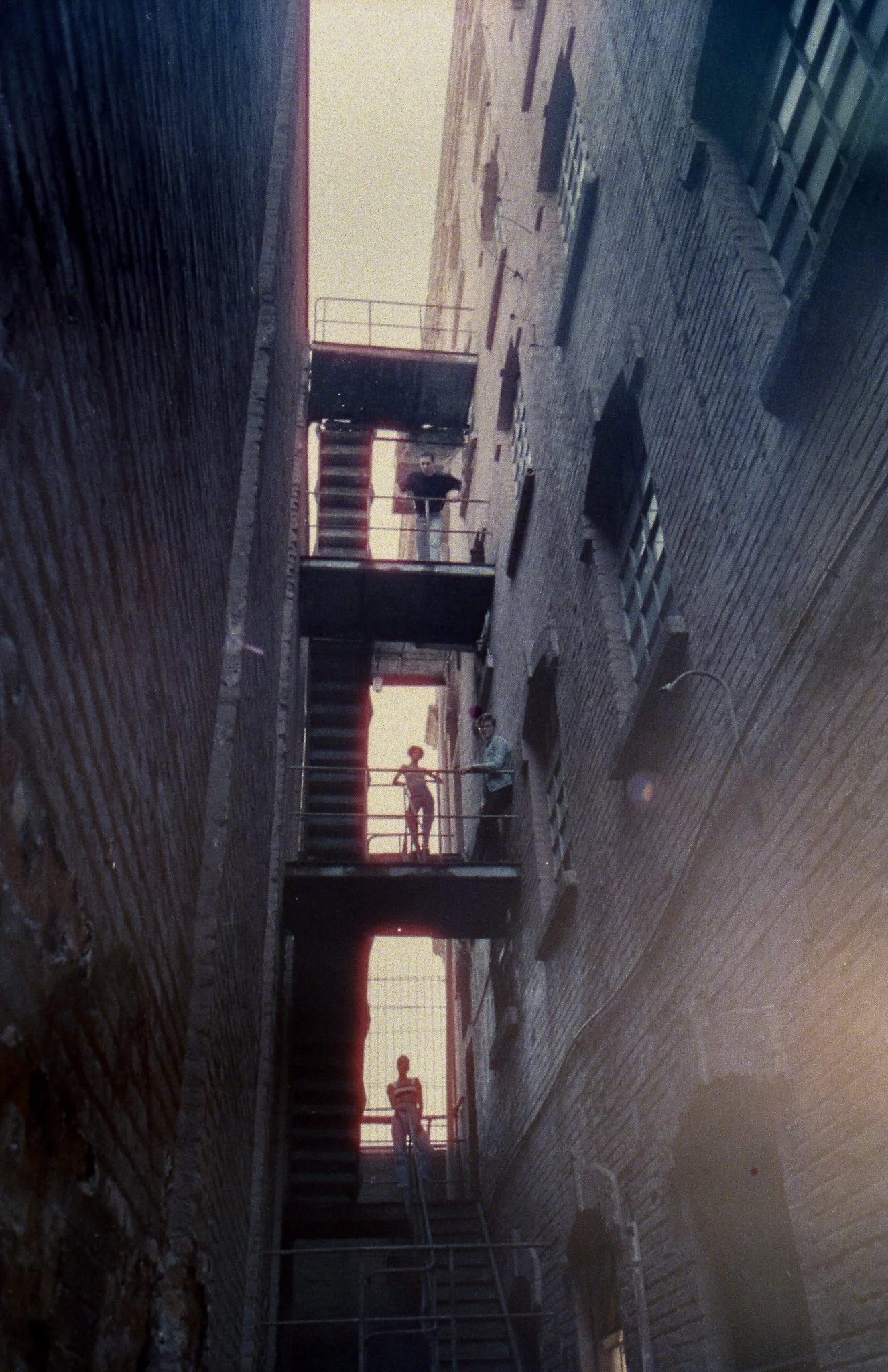 img559.jpg