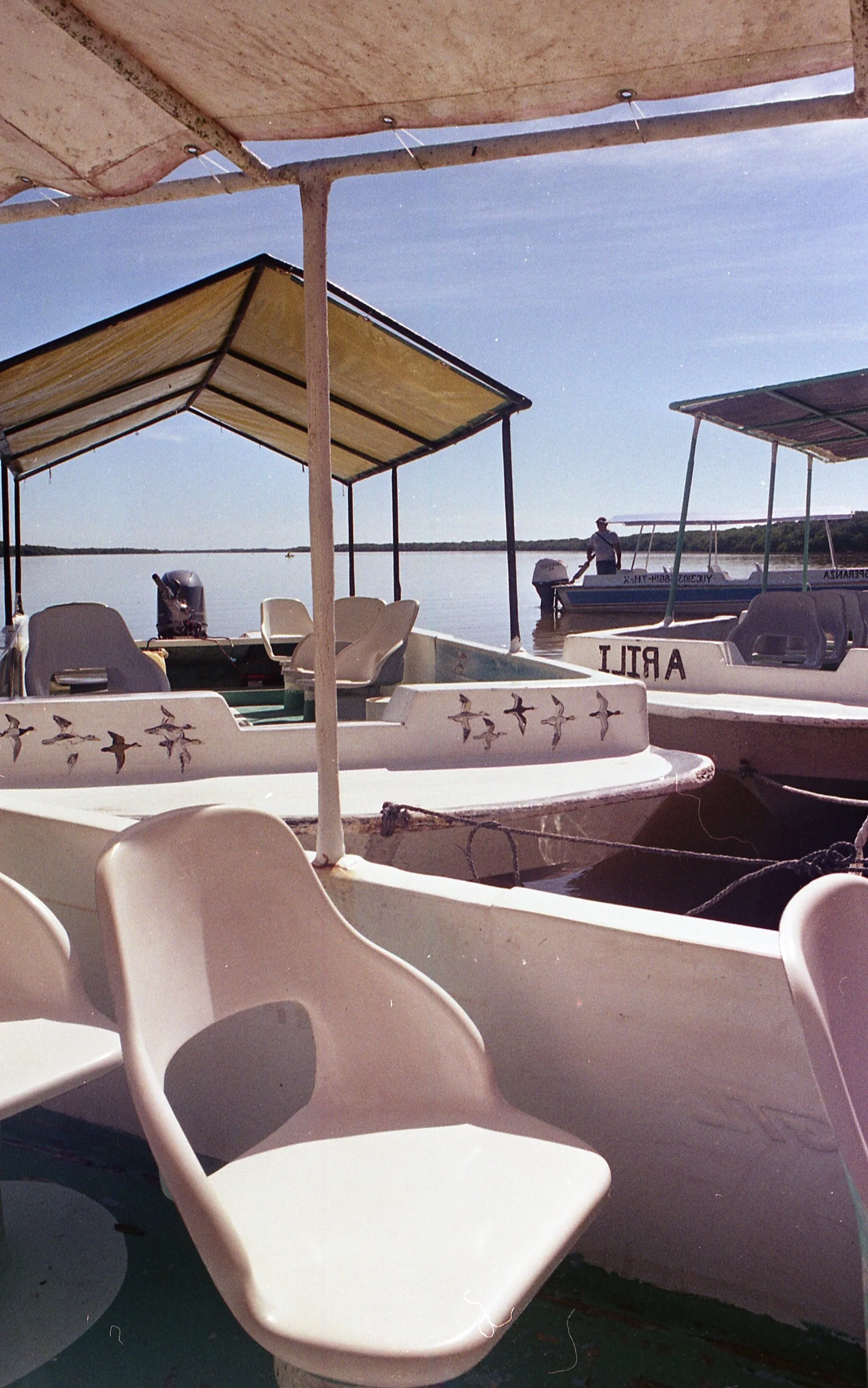 img102.jpg
