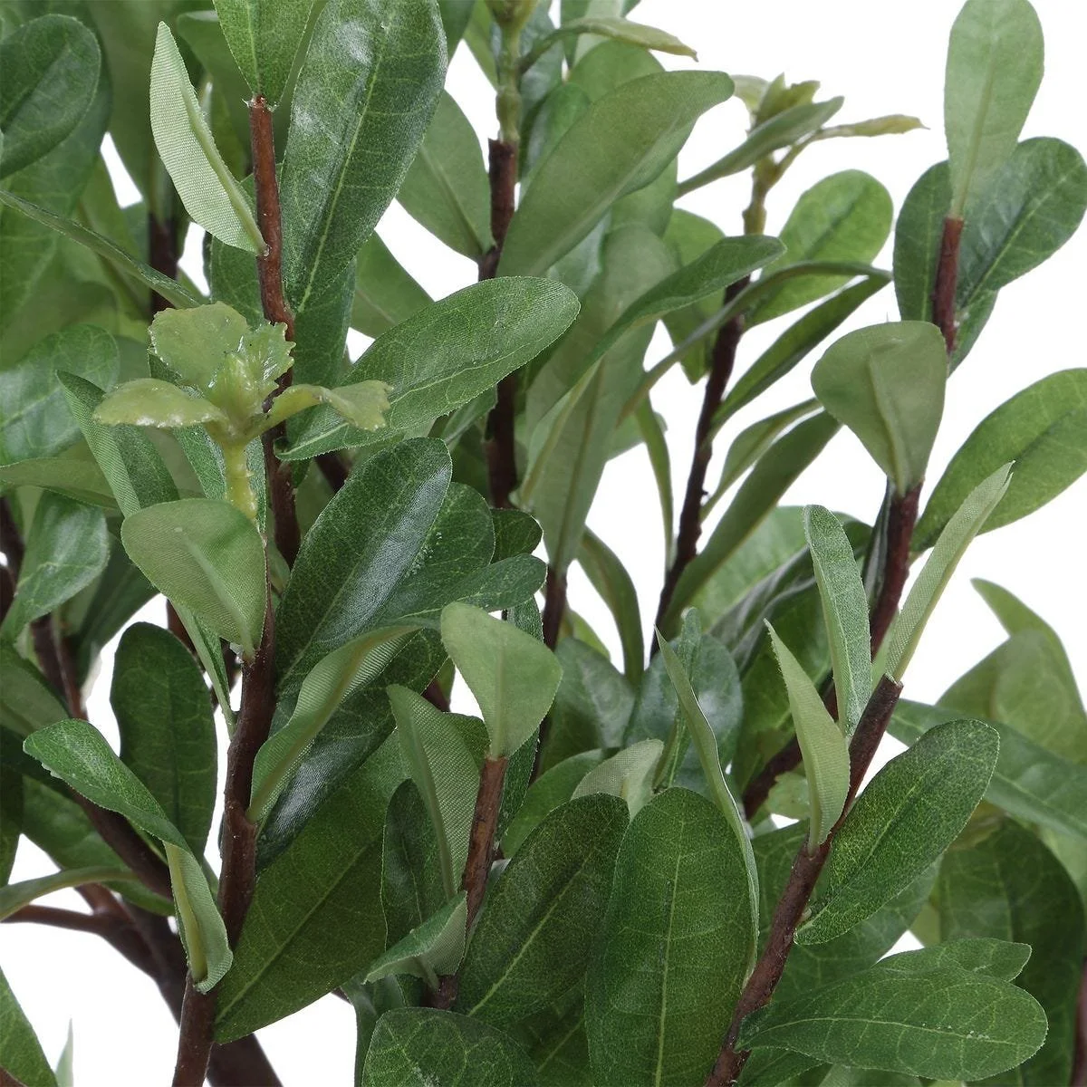 Close-up of textured faux strawberry tree leaves and realistic trunk detail