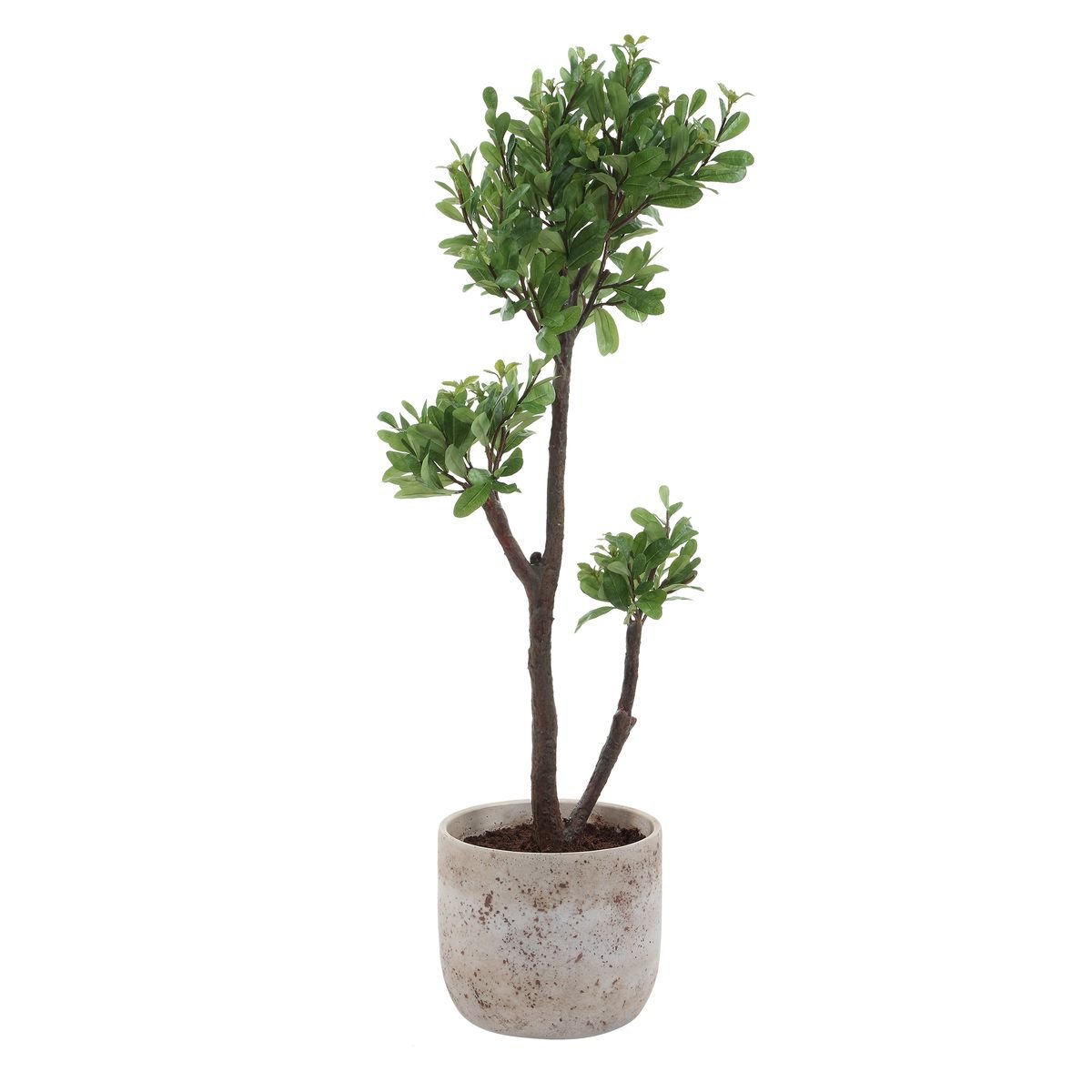 Tall artificial strawberry tree with lush green foliage for interior decor