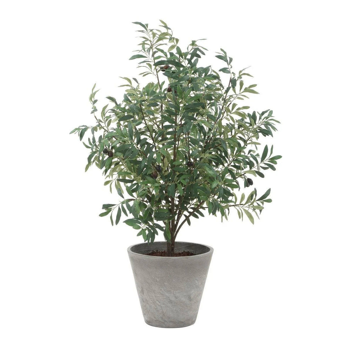 Lifelike faux olive tree with natural olives in a stone gray ceramic pot