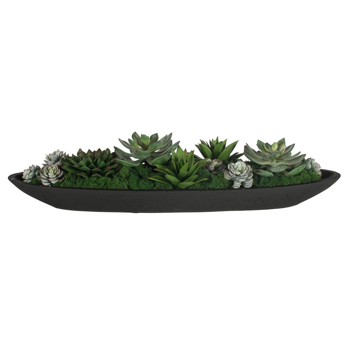 Modern succulent arrangement with reindeer moss in a black stone boat container