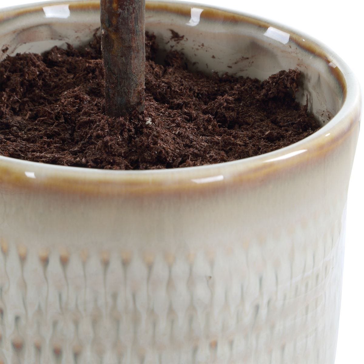 Close-up of lifelike faux olive leaves with natural color and texture