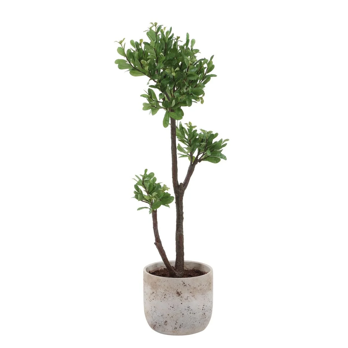 Faux strawberry tree styled in an interior space for organic, sculptural greenery