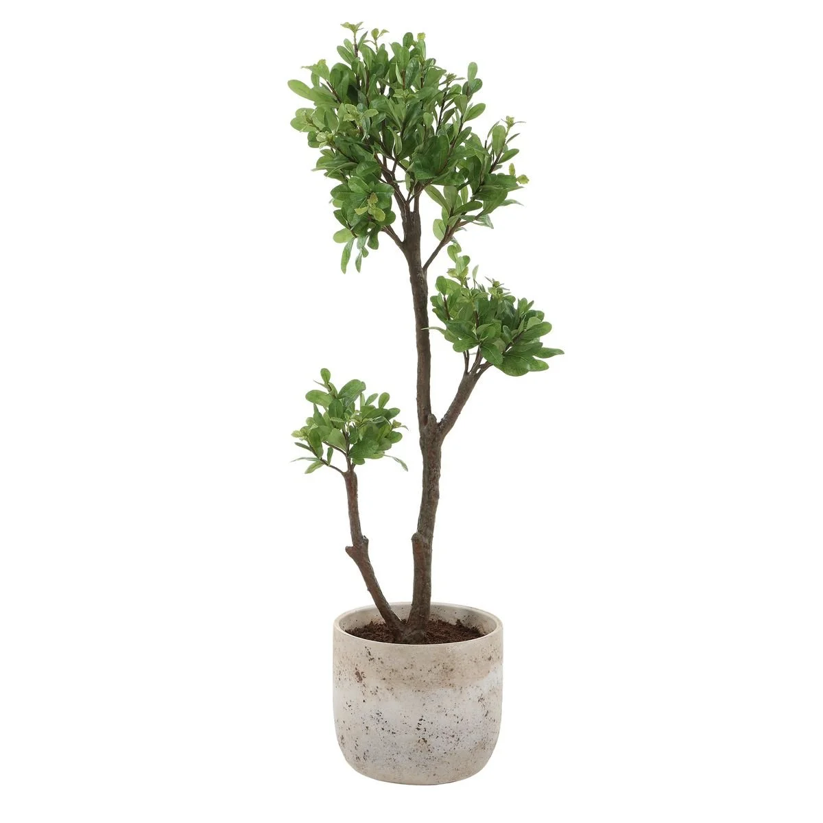 Lifelike faux strawberry tree with natural branching in an aged ivory ceramic urn