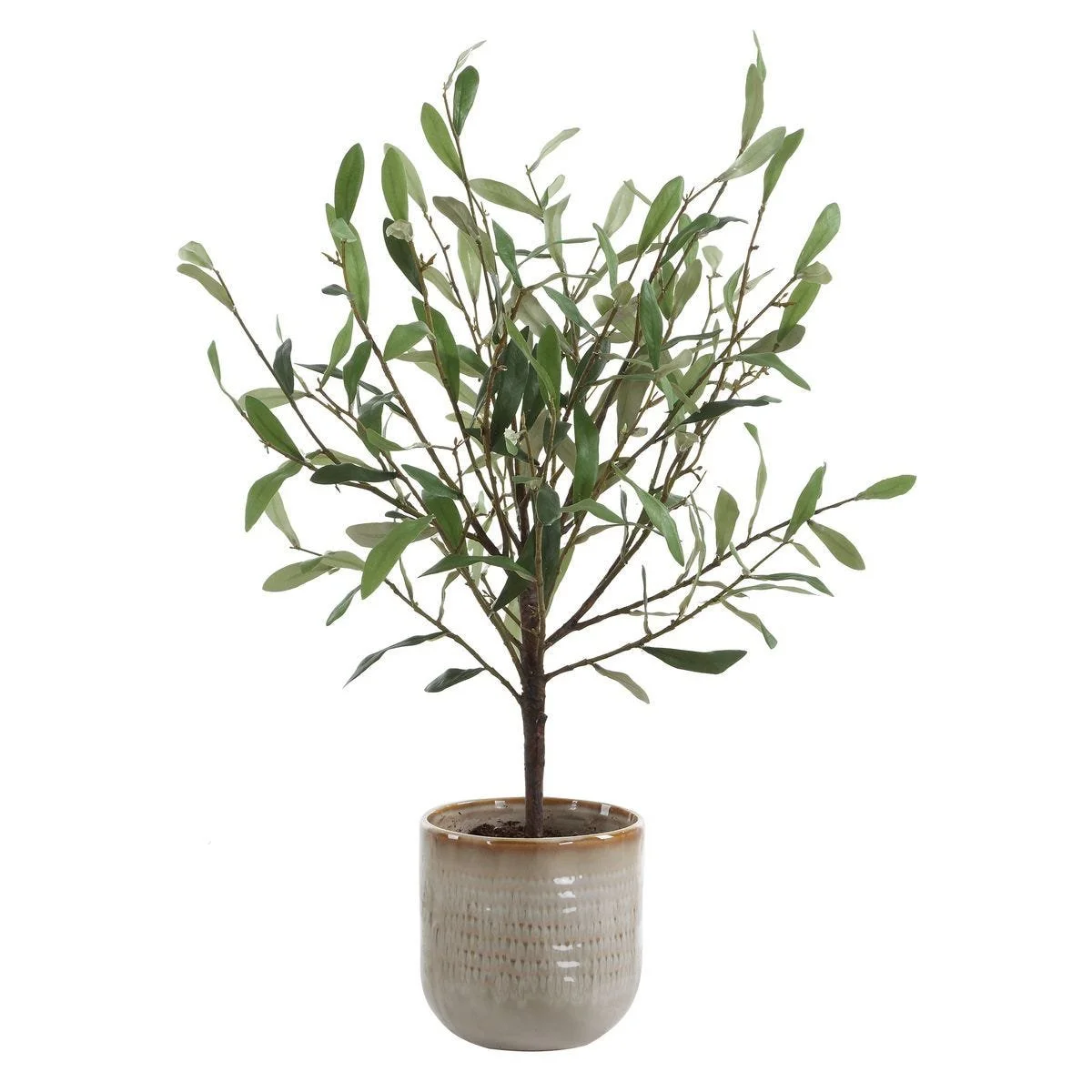 permanent-botanical-faux-olive-branch-in-ceramic-vase.jpg
