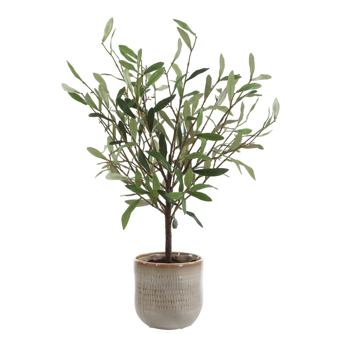 Artificial olive plant with soft green foliage and realistic branching
