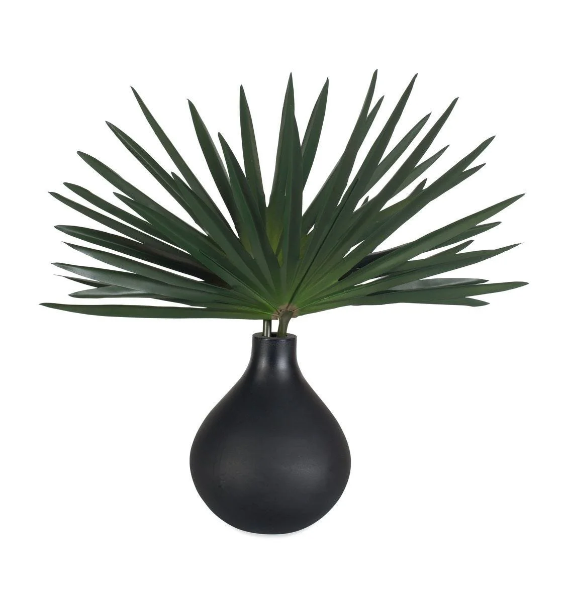 Modern fan palm arrangement with bold radial leaves in a matte black teardrop vase