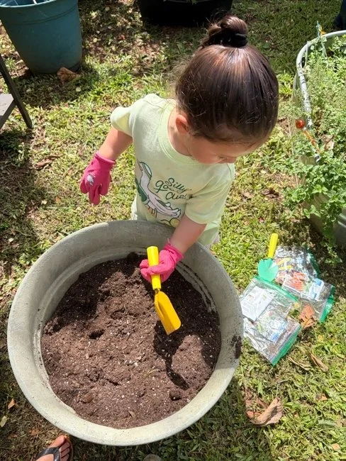 pics garden.jpg