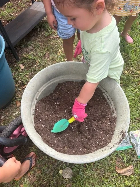pics gardenss.jpg