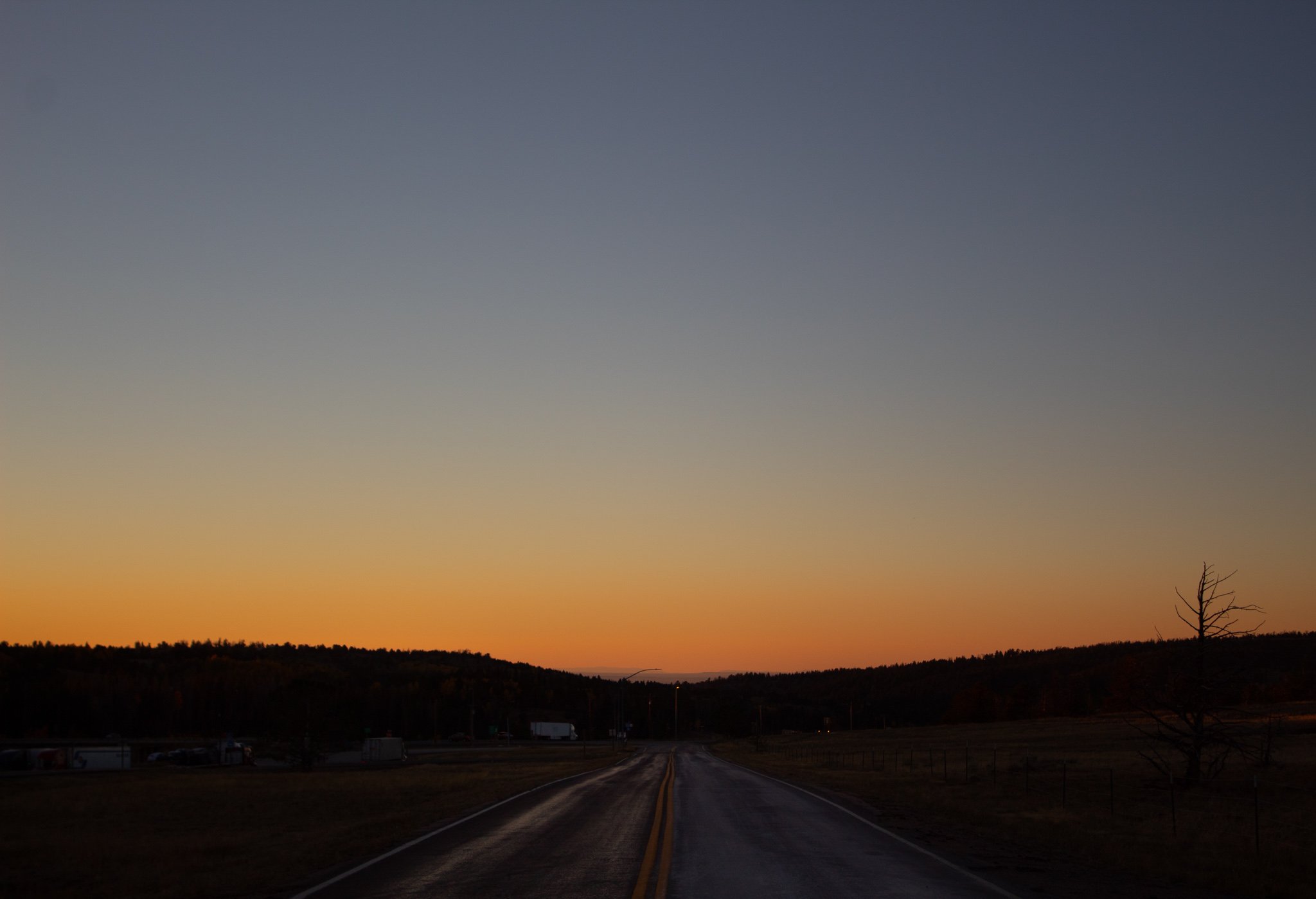 CookK_LandscapeProject_003 copy.jpg