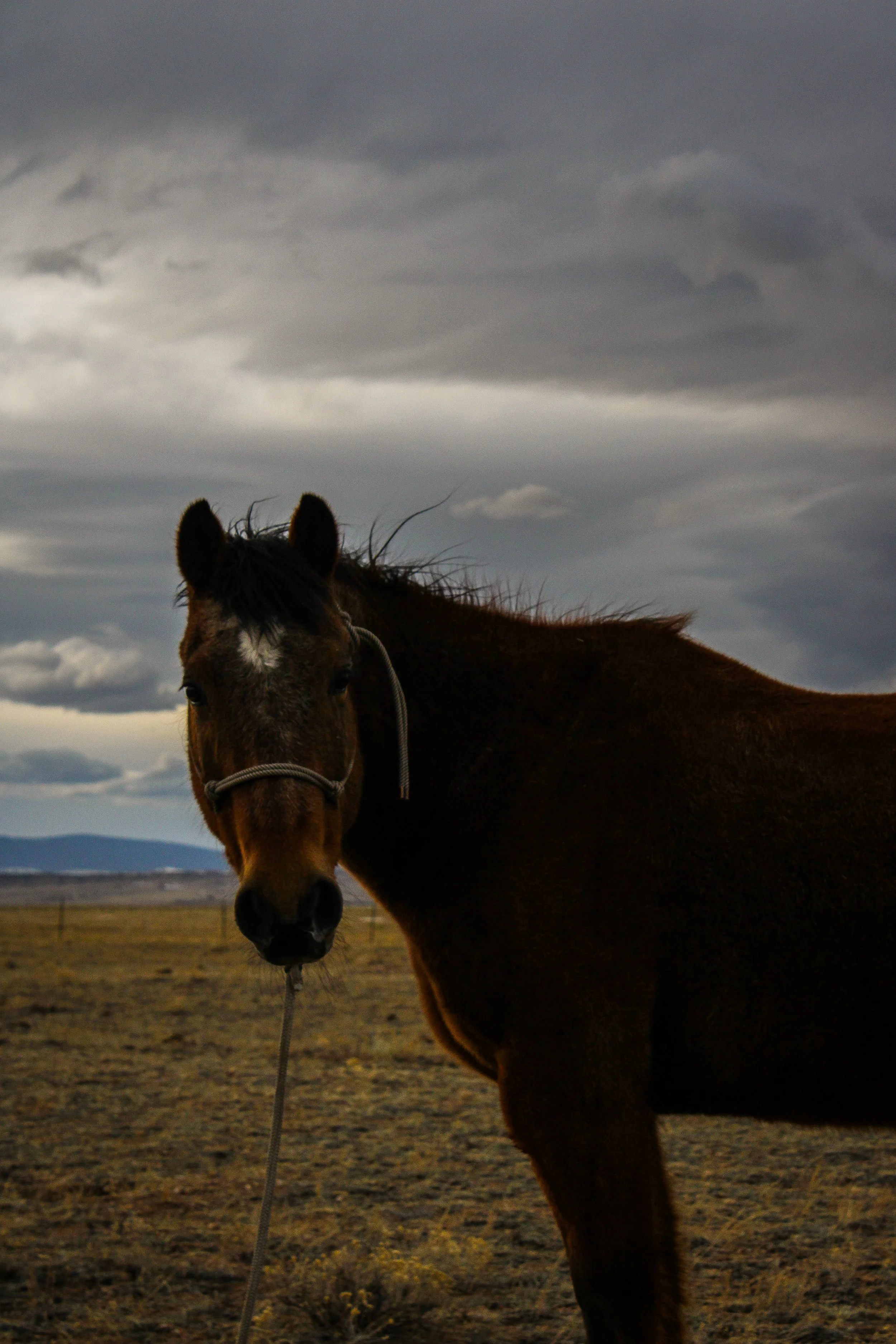 2018-01-25 05.45.39.jpeg