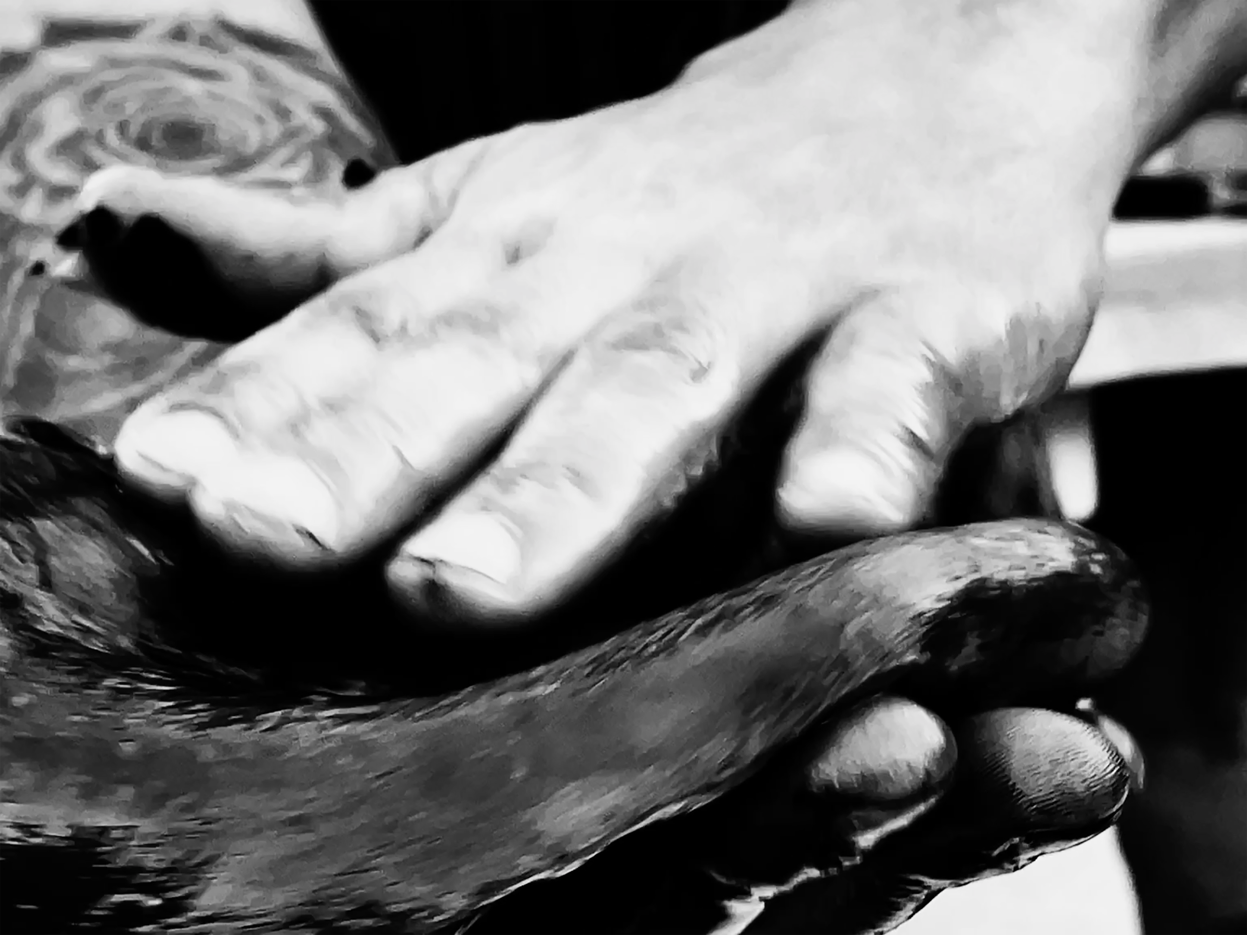 Pepper - still from 'UoL' (1).png