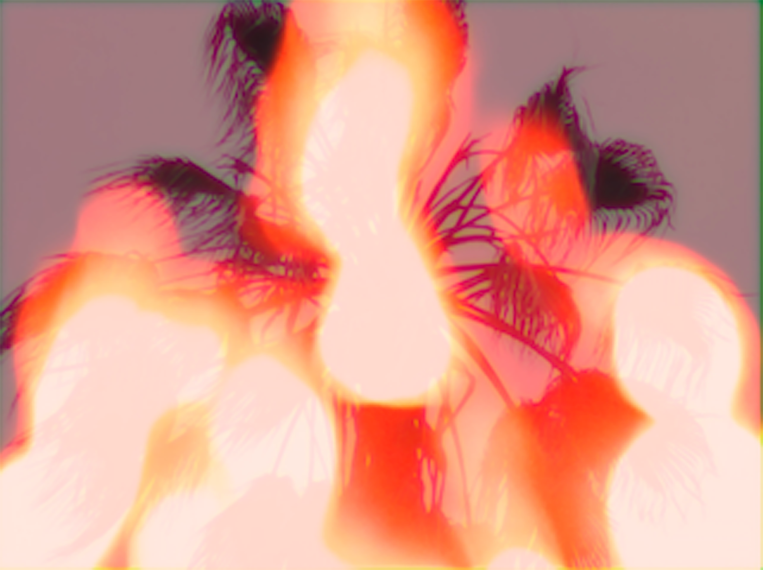 EMC1904A-PS.png