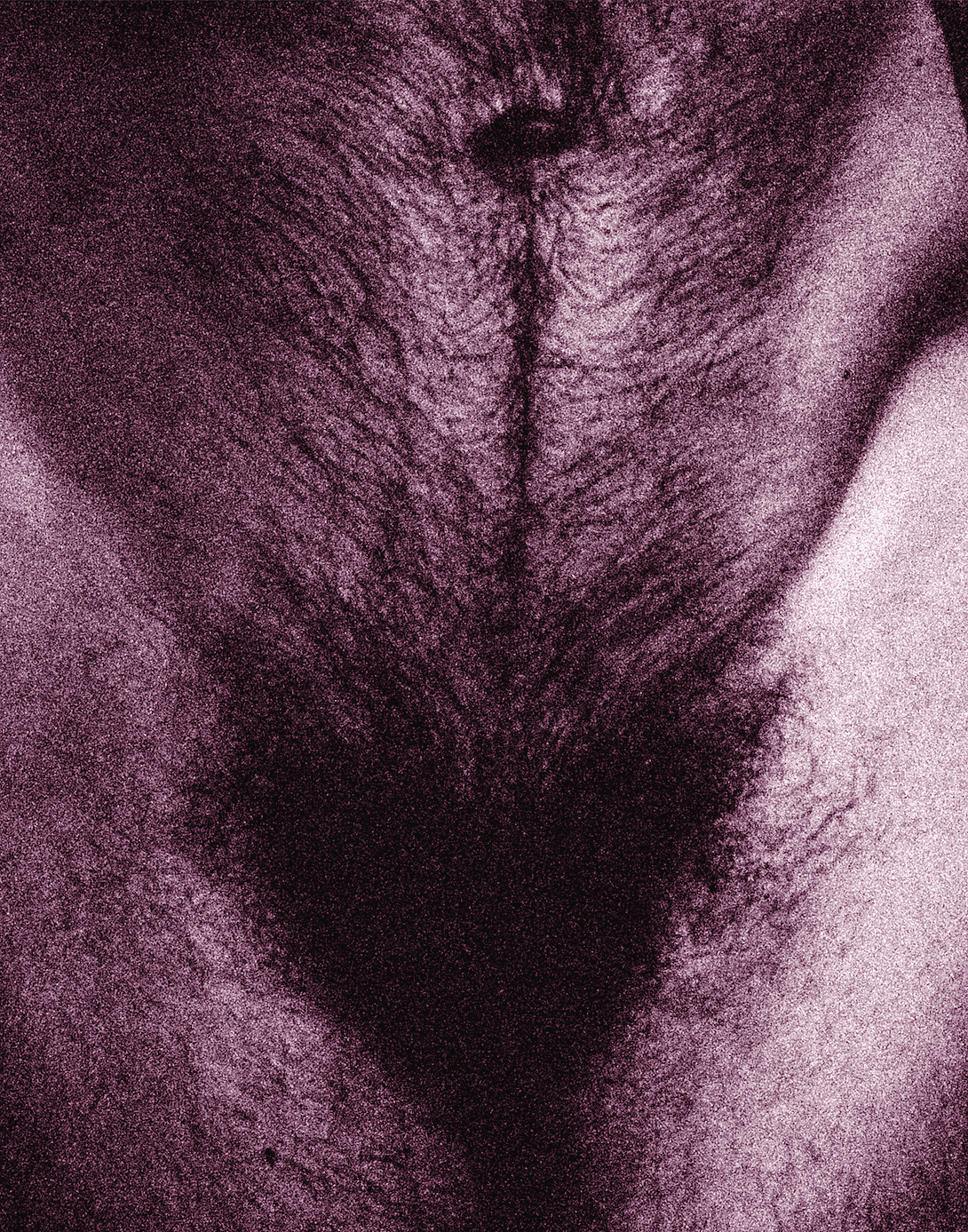self-portrait / PCXD