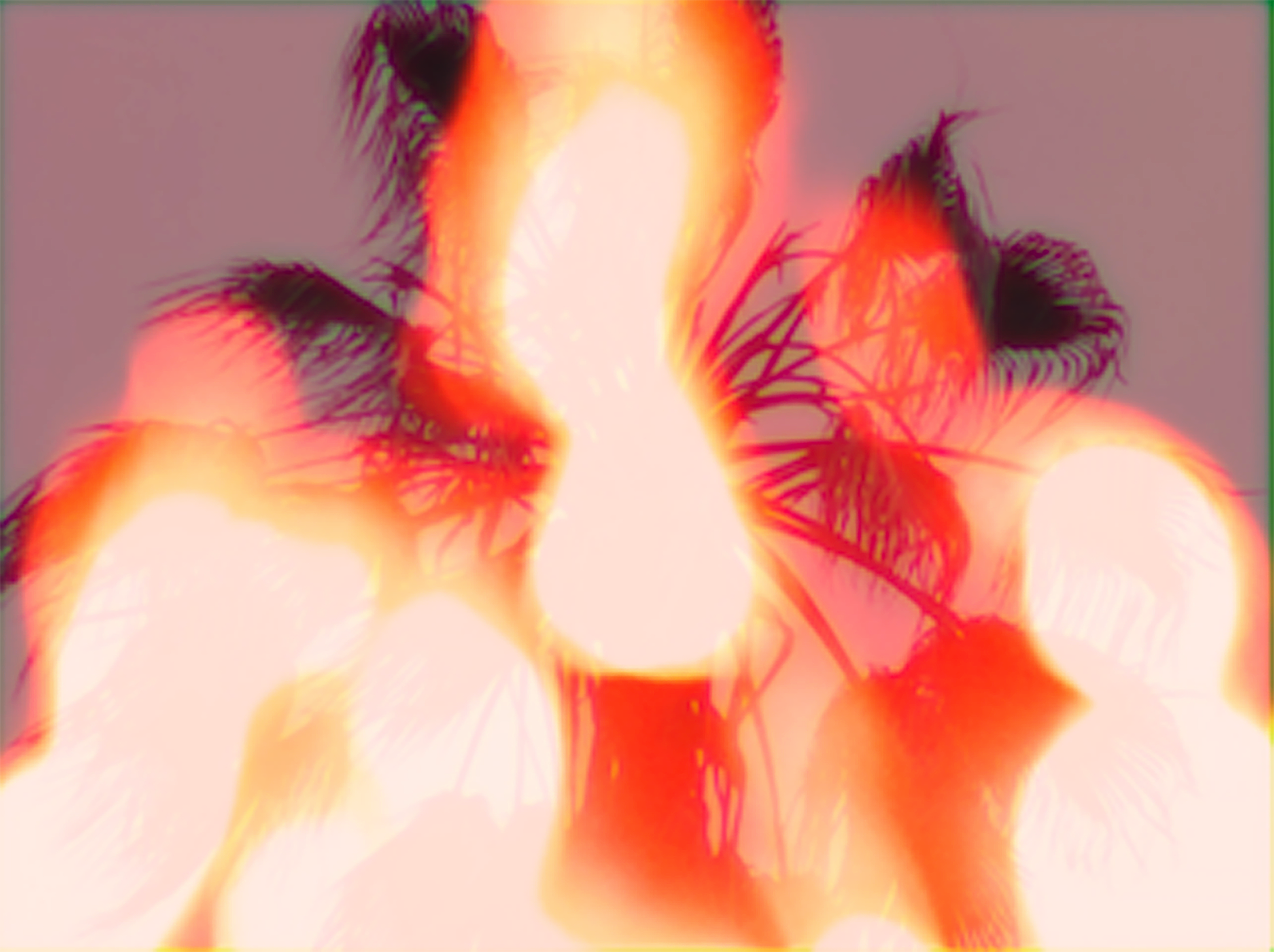video stills