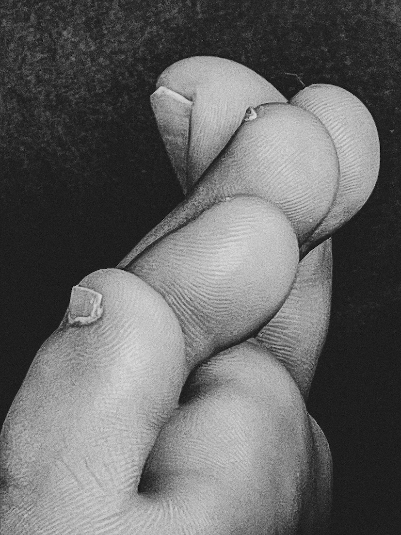 fine art