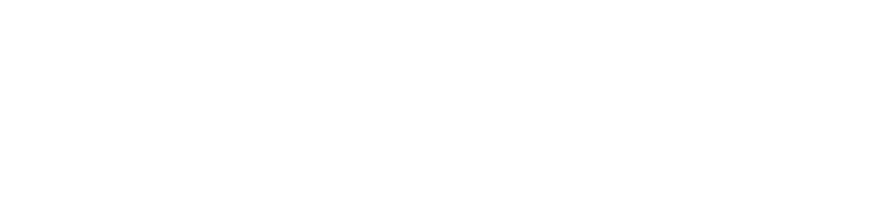 ZIM Consulting