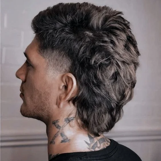 thick men's hair mod mullet.jpeg