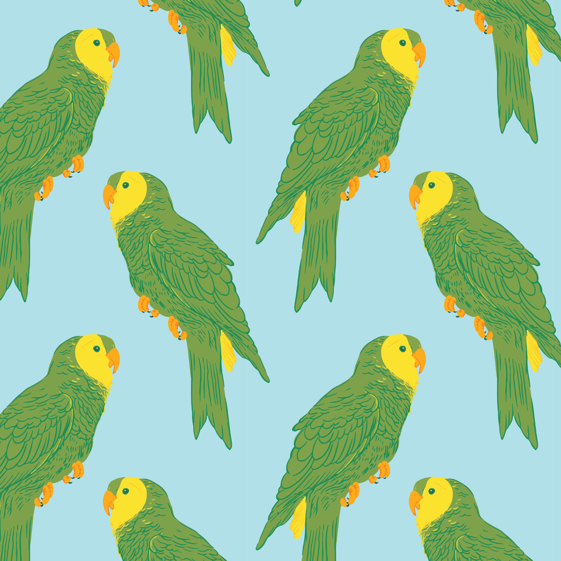 Parrots of San Francisco Textile Design for Accessories