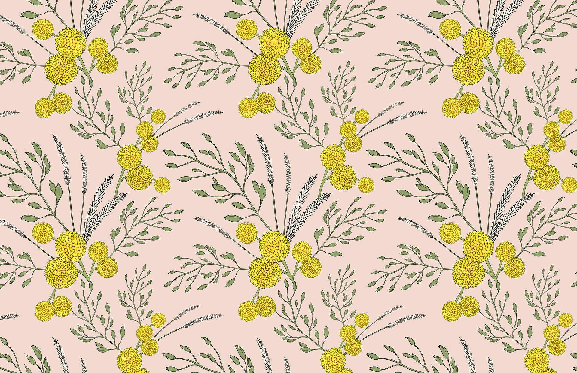 AC Print Color 2.jpg