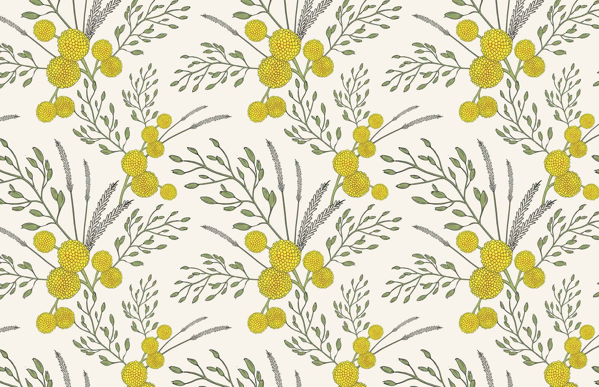 AC Print Color 1.jpg