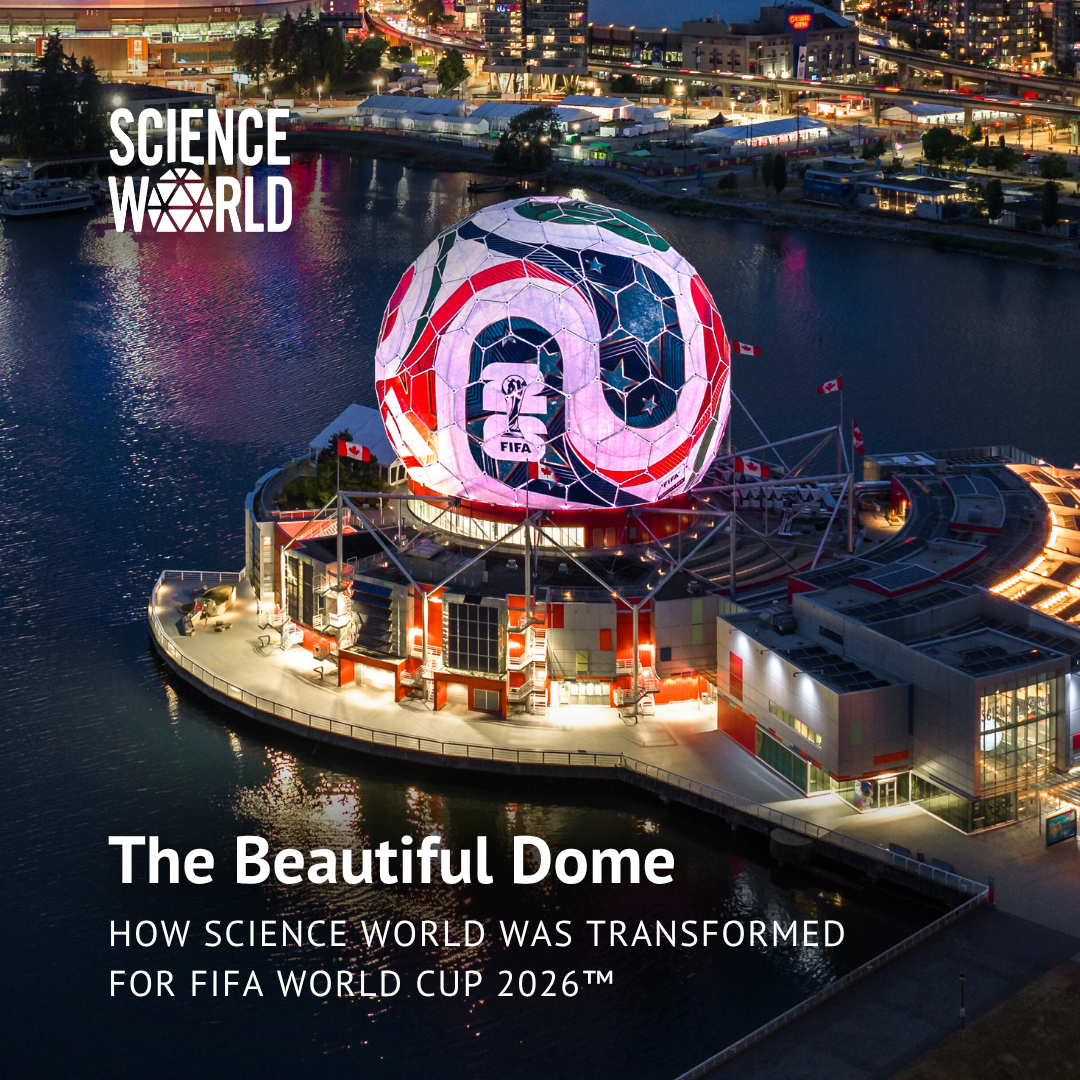 The Beautiful Dome