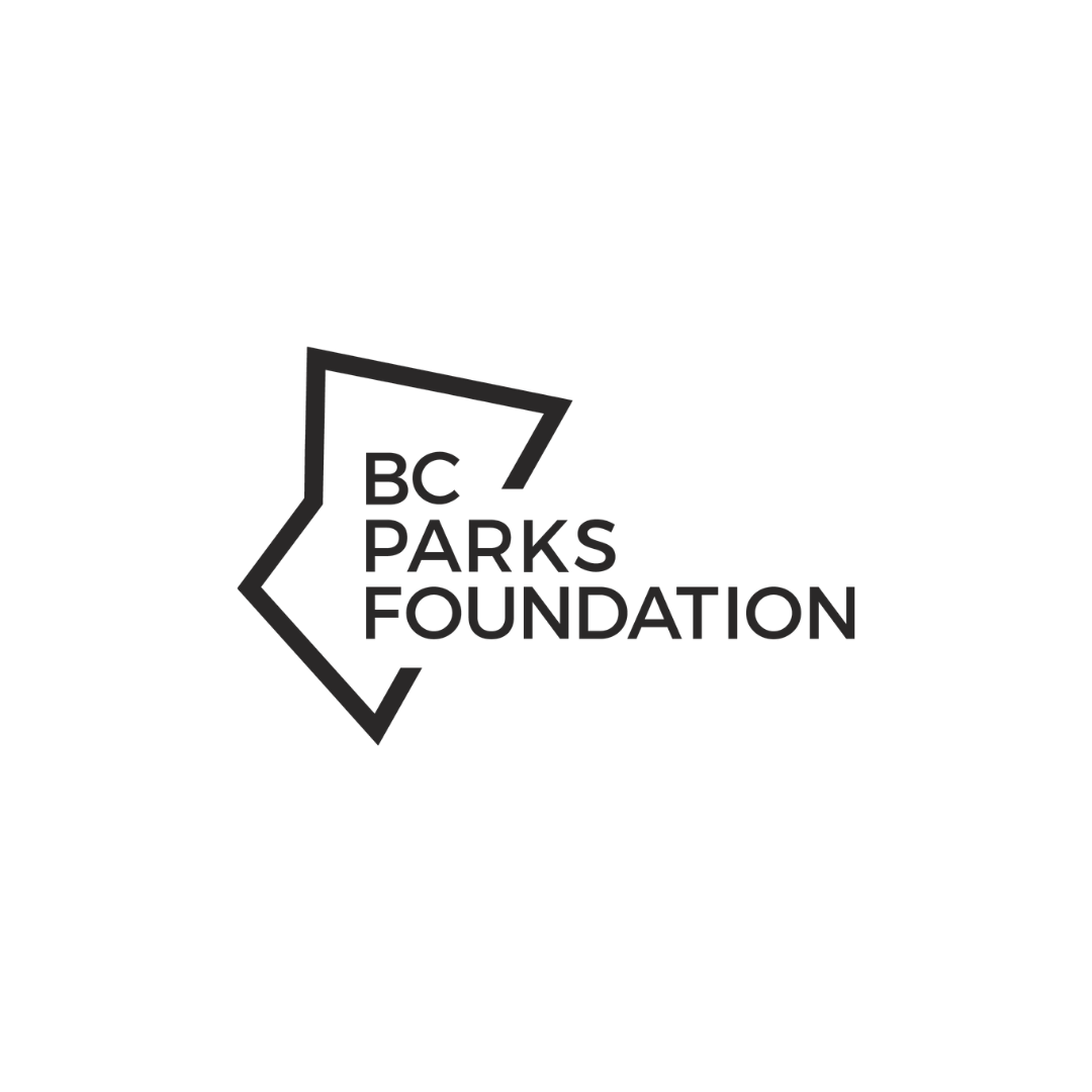 The Tea - Client Logo White Scale (1).png