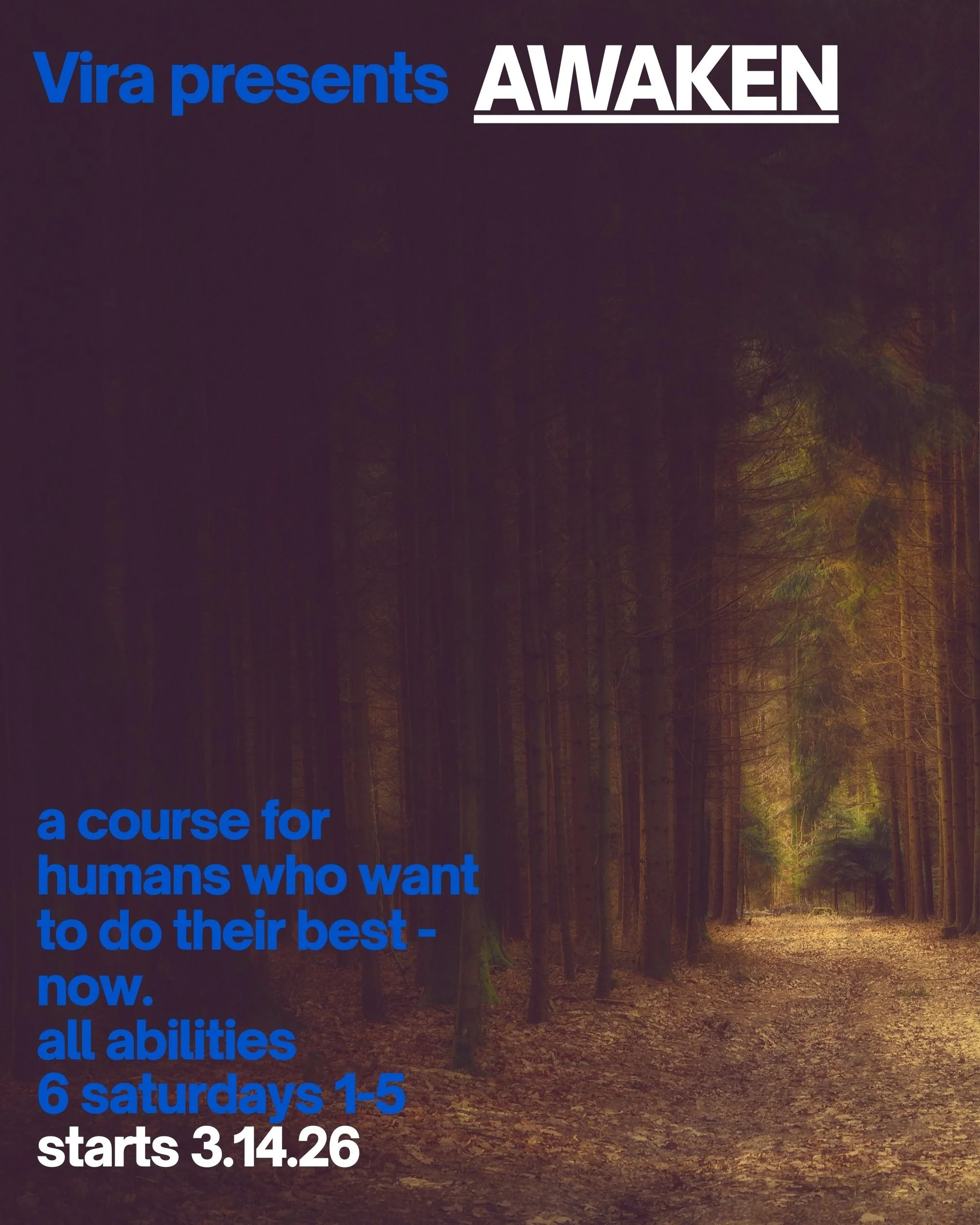 AWAKEN: a course for humans who want to do their best now.