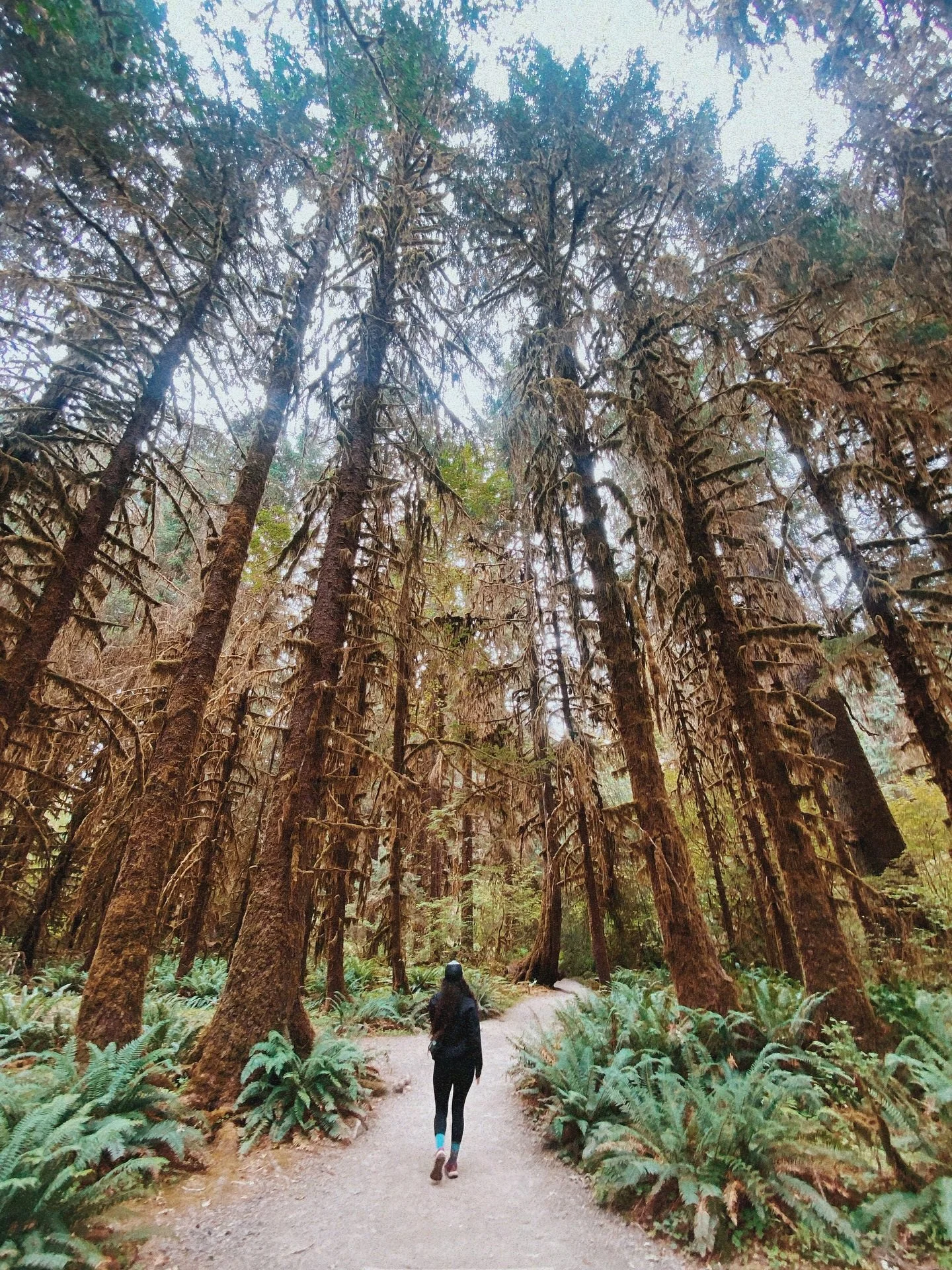 Gentle reminder that while life is absolutely batshit right now, Mother Nature has all the answers and spending time in the presence of her wisdom is good for body, soul and collective healing.

But seriously, spending time outdoors isn&rsquo;t just 