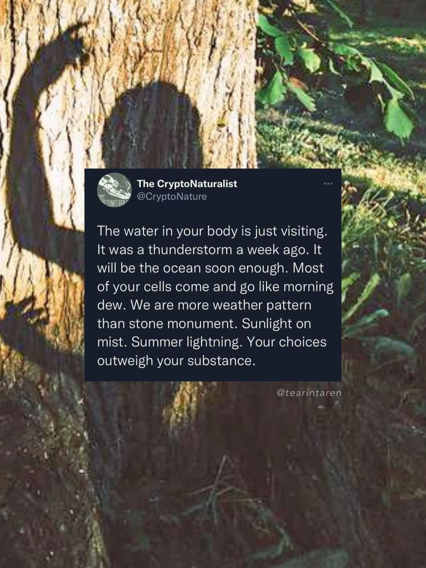 A few reminders to ground you back into the absolute miracle it is to be alive (yes, even in these times&mdash; especially in these times)

Loving you with every shred of me in the midst of such uncertainty, pain, grief, turmoil, and rage. I hope you