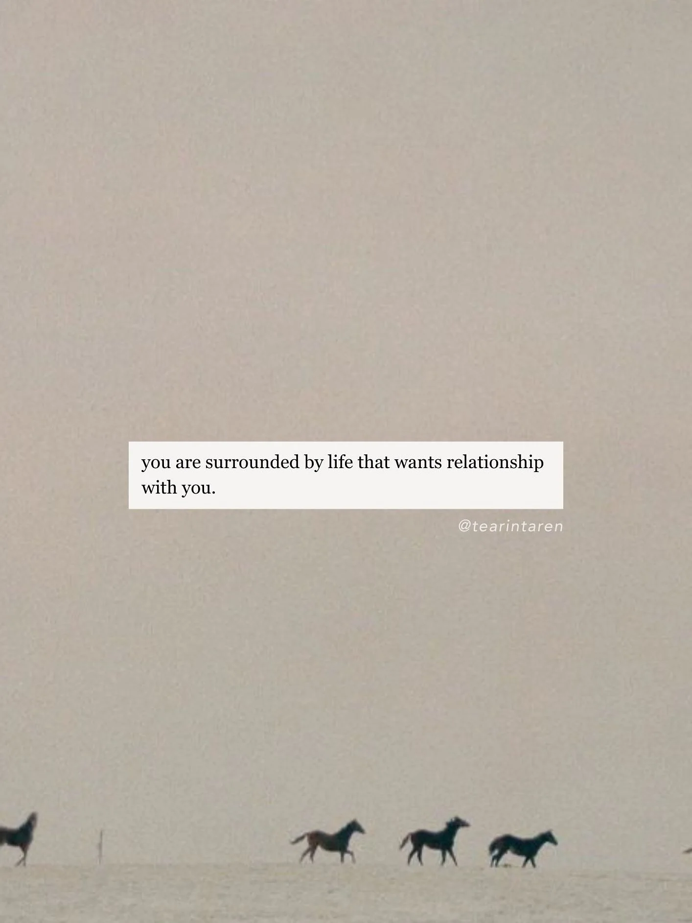 I used to write blog about travel and sustainability (which I still love) but these days I can&rsquo;t stop thinking about how we are designed to be in communion with nature in the most intimate ways&mdash; our systems literally evolved in relationsh