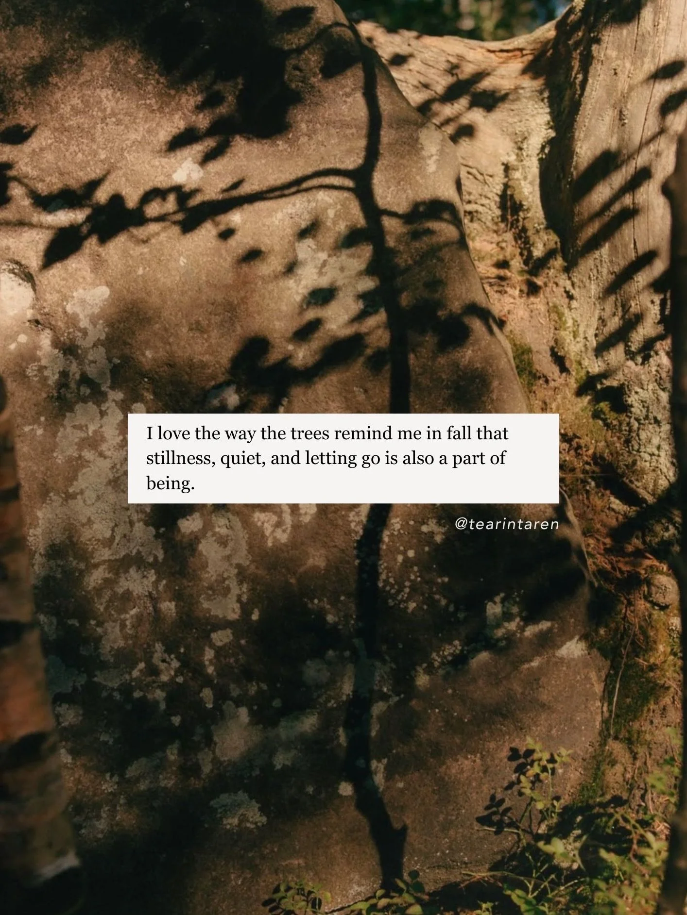 morning musings ✨🌀🌿 take what you need, leave the rest 💛 xo t