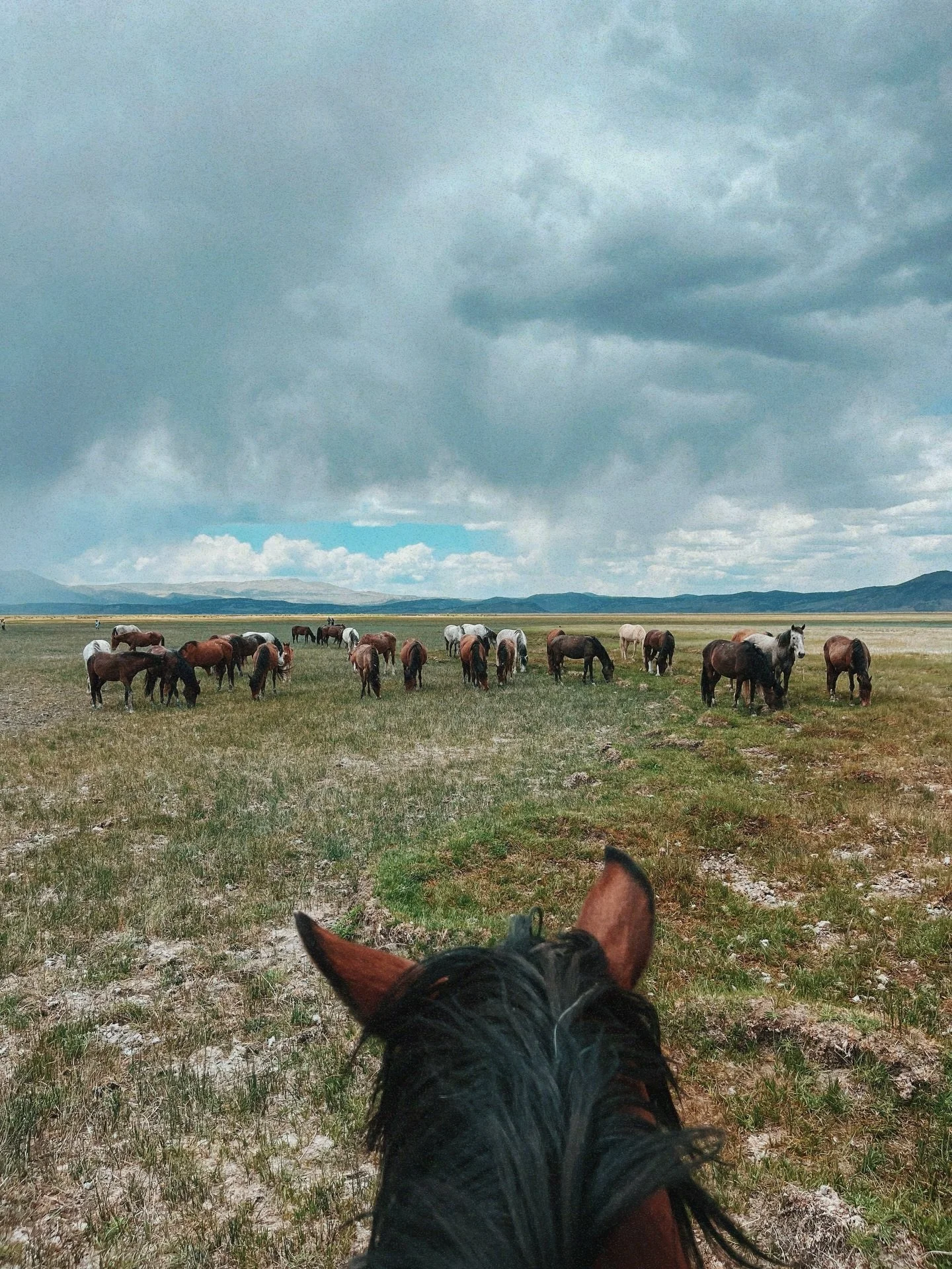 I feel so grateful to be living a life that would make the small, fierce, girl in me (the one who adopted that big beautiful buttermilk palomino mustang&mdash; completely untouched&mdash; at 17) feel so safe and centered. exploring the eastern sierra