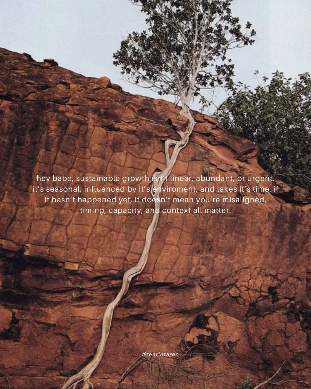 forever bowing at the alter of life, re-devoting myself to the slowness that brings healing and sustainable growth. it is my nature in this system to forget. to give to the urgency of productivity. the never ending cycle of more. but then I step into