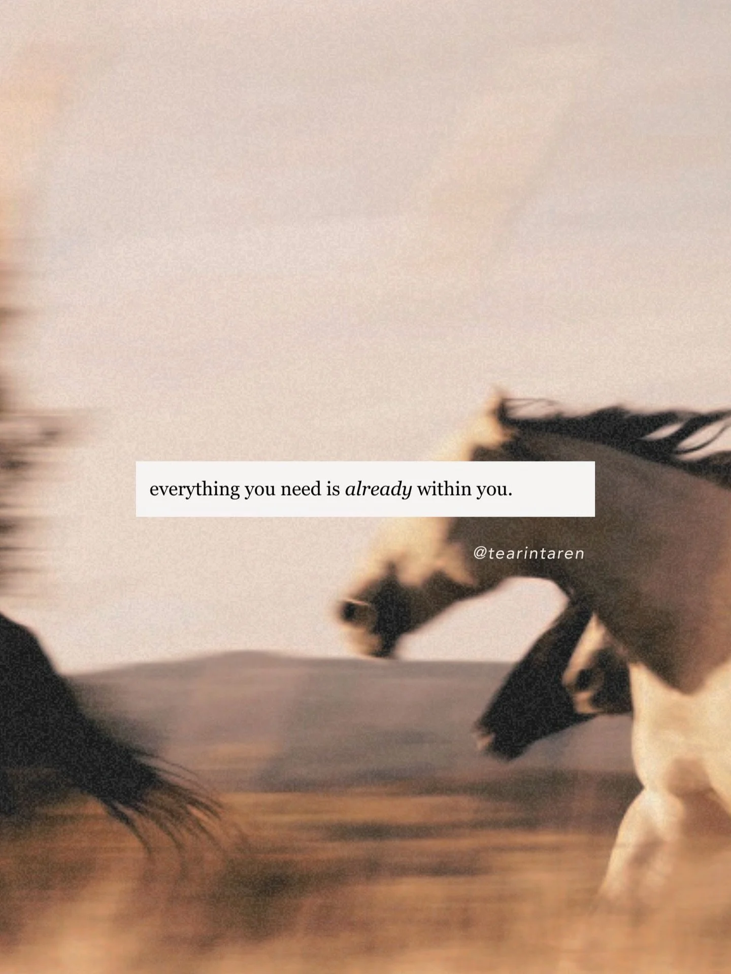 every thing you need is already within you ✨ your capacity, your strength, your fire, your gifts&mdash; all of it. it  didn&rsquo;t mean it may not need some support in coming forward, growing, aligning, along the way, but it absolutely already exist