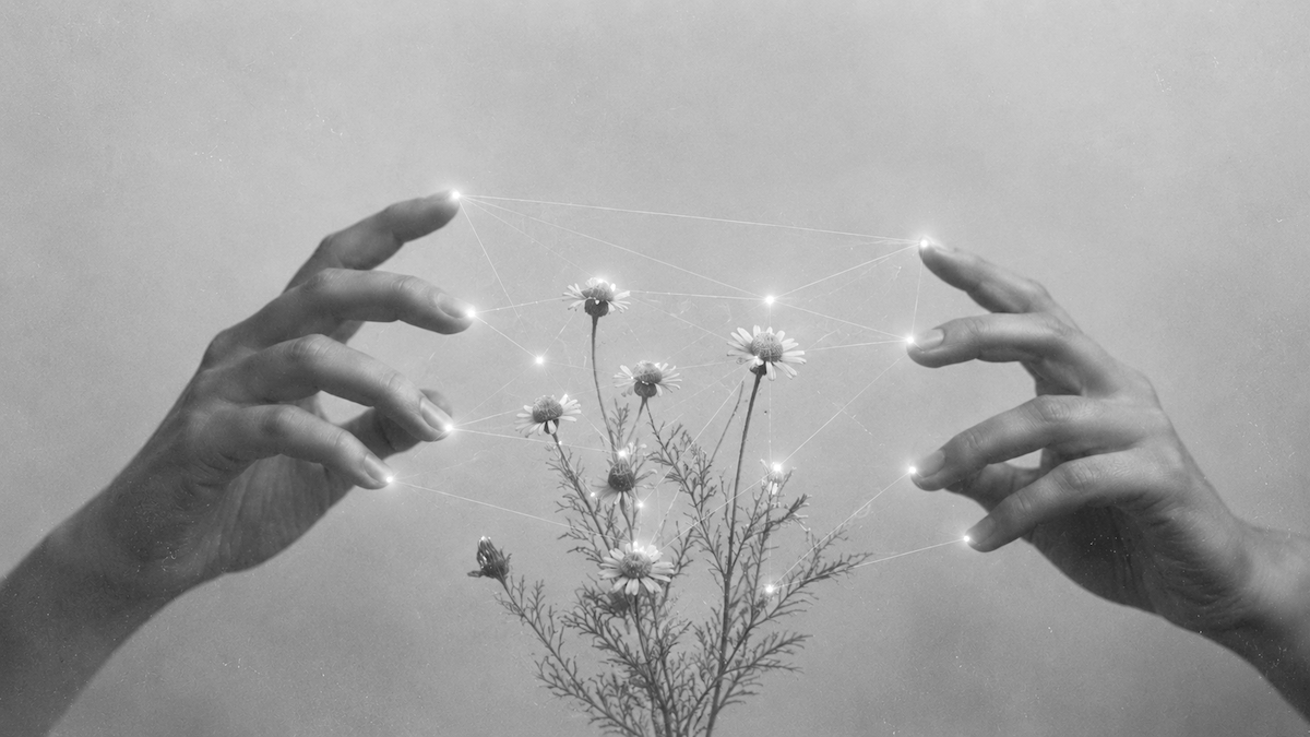 Plant Allies for Nervous System Support