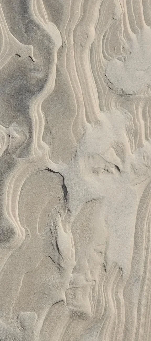 trauma informed breathwork session, safe breathwork practice, nervous system regulation through breath, gentle breathing exercise for trauma, trauma conscious breathing support, calming breathwork for anxiety