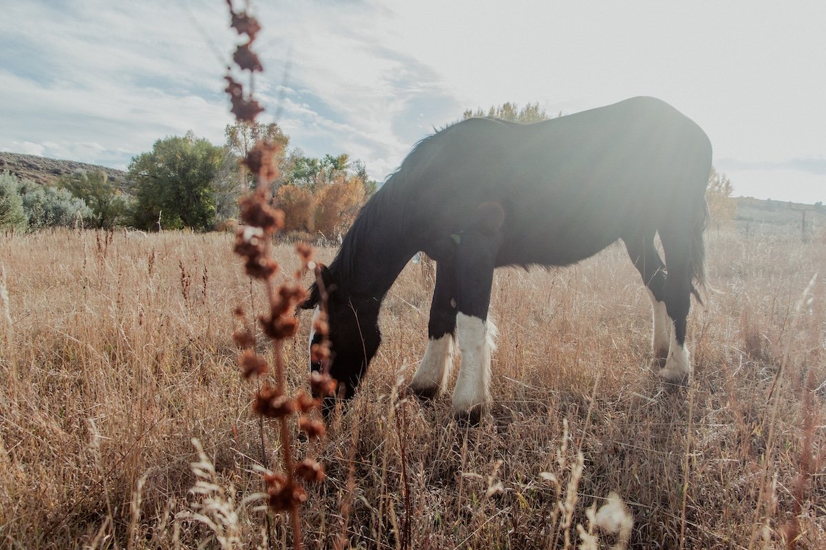 Truly a life-changing experience