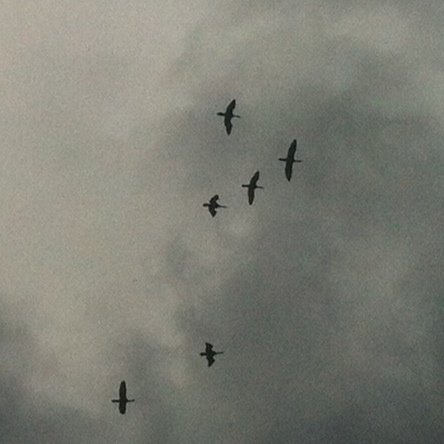 free shadow work guide