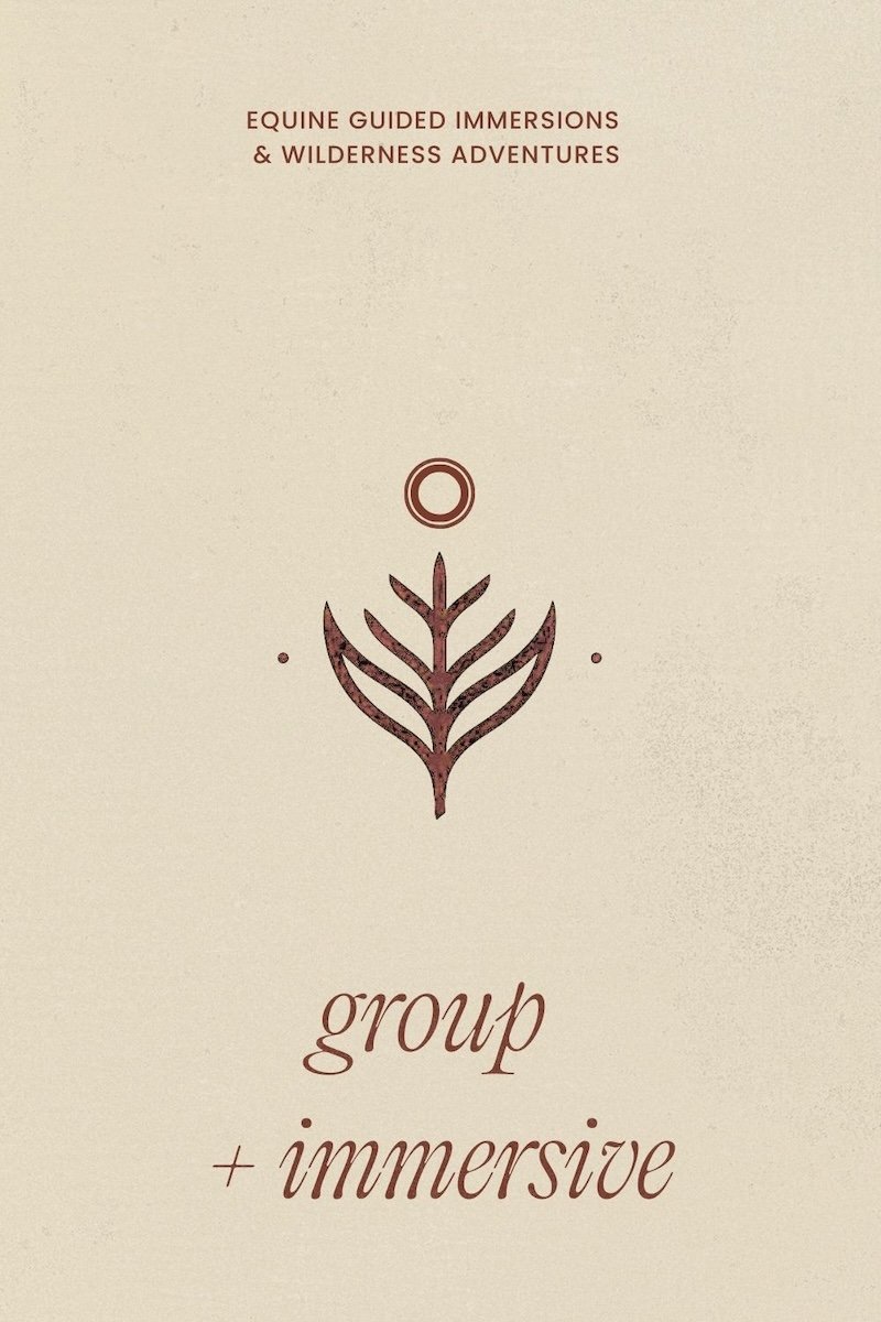 holistic retreat near me, trauma informed retreat