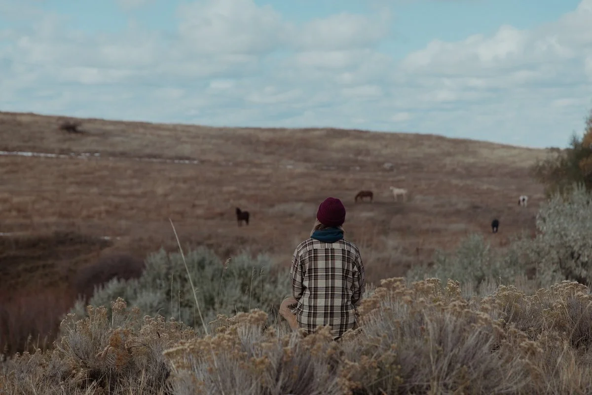 horse healing in wyoming