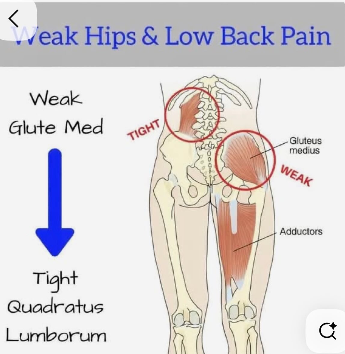 The muscles work together. Where ever you experience pain is not the source of the problem but there are neighboring muscles are not carrying their loads