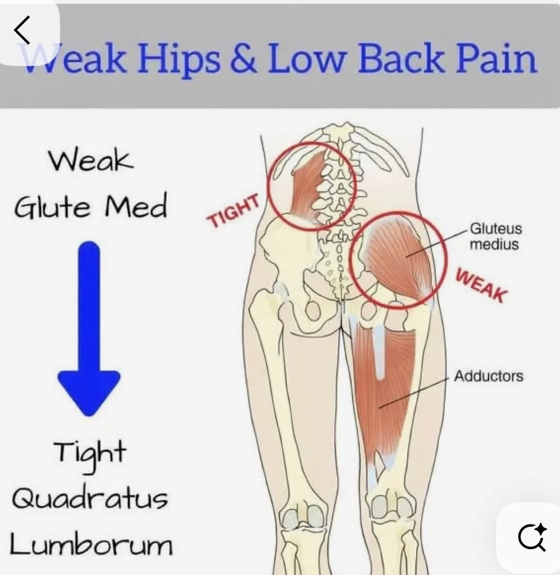 The muscles work together. Where ever you experience pain is not the source of the problem but there are neighboring muscles are not carrying their loads