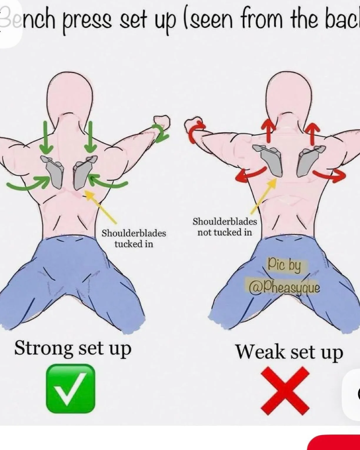 The form matters in recruiting muscles to keep joints healthy