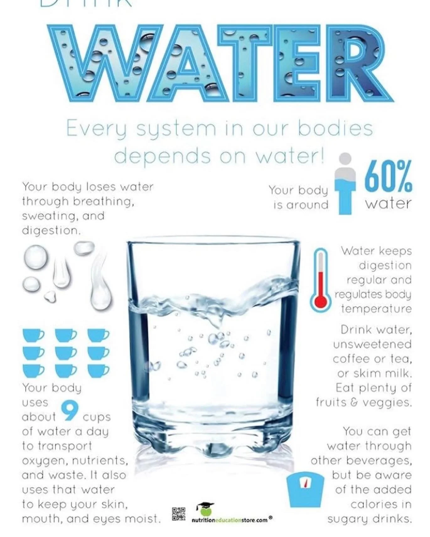 60 percent of your body are made of water and adequate water intakes ensure the blood flow which all the tissues are depending on to be healthy