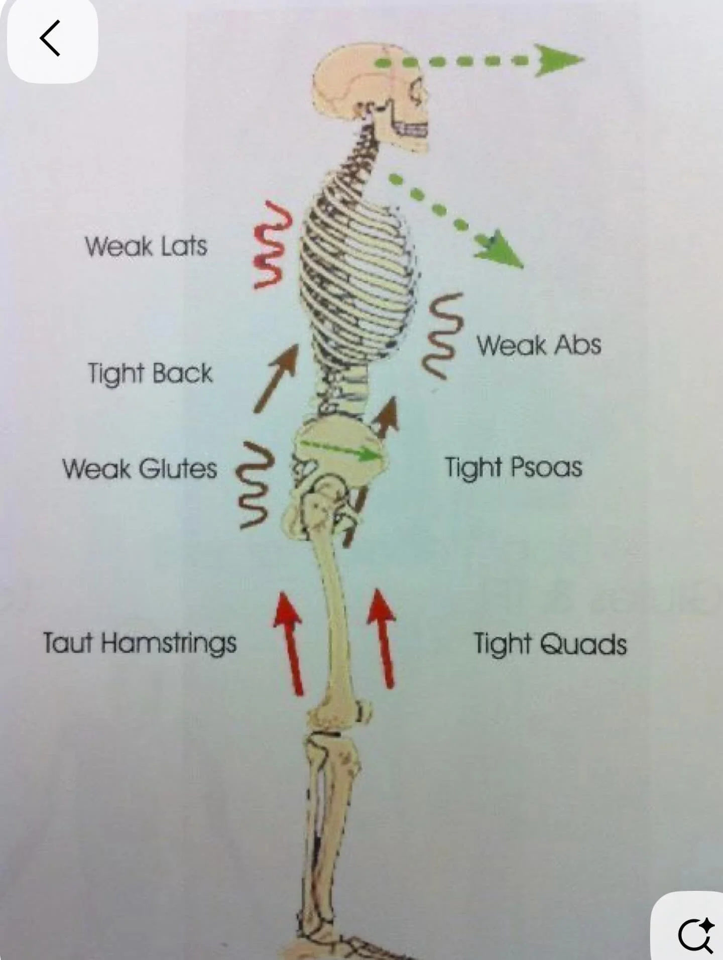 The more the body joints need to make adjustments to keep you stand straight, the right muscles can&rsquo;t do their work to maintain the proper posture.