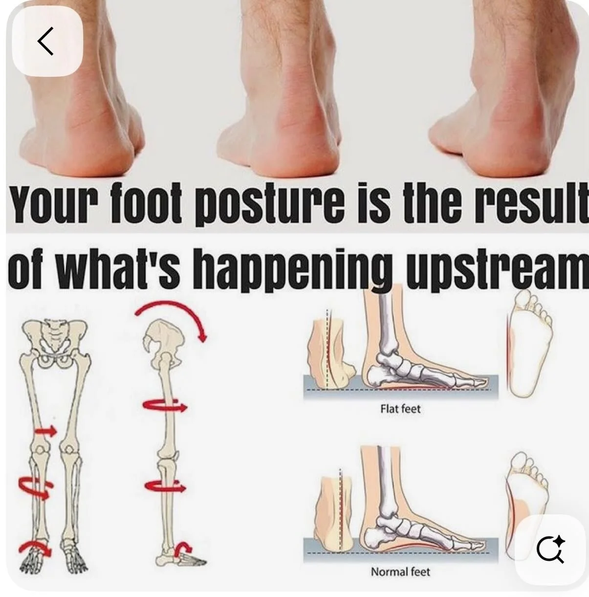 The body doesn&rsquo;t work in isolation but work together as a unit