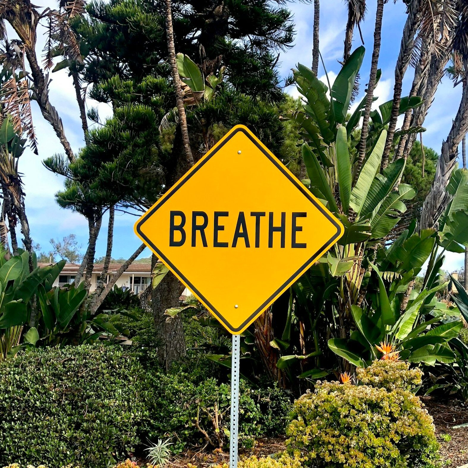 The Power of Diaphragmatic Breathing