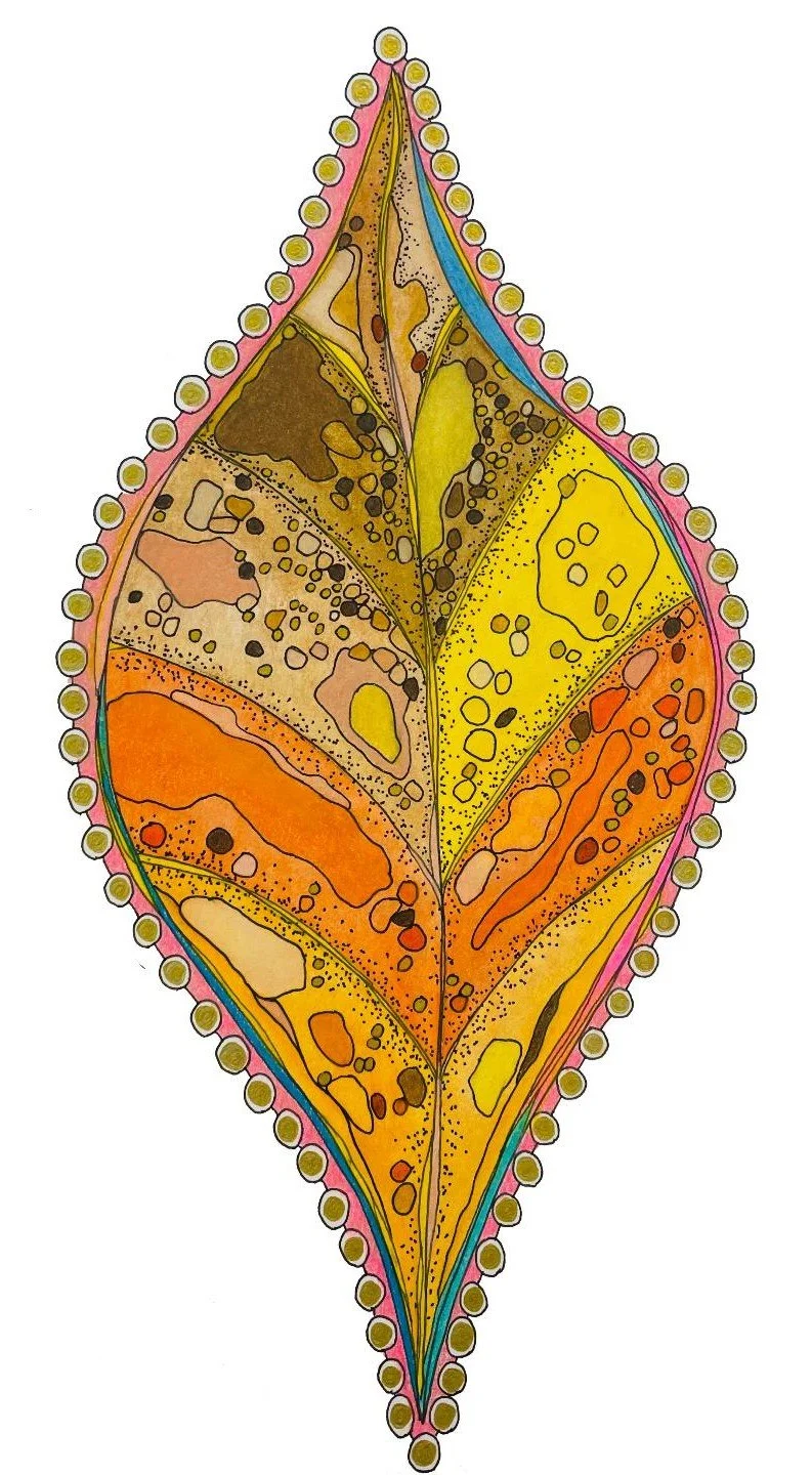 The Natural World -- CAVA's Summer 2025 Juried Exhibition